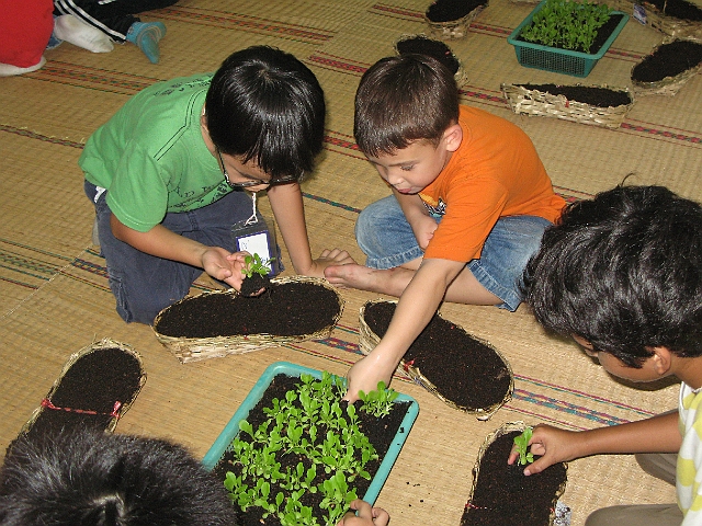 Organic Farm Dec 2010